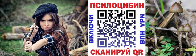 Псилоцибиновые грибы MAGIC MUSHROOMS  Купить  Елизаветинская 